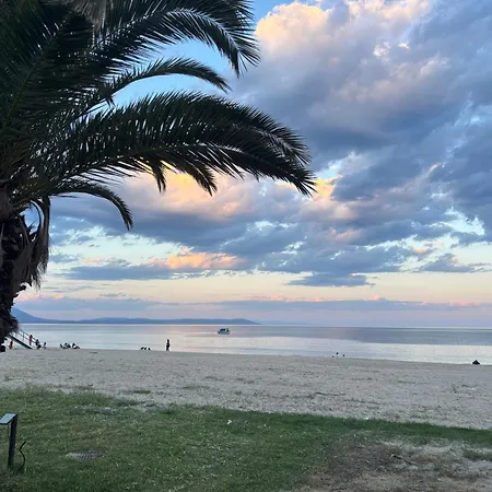 Vila Amore
